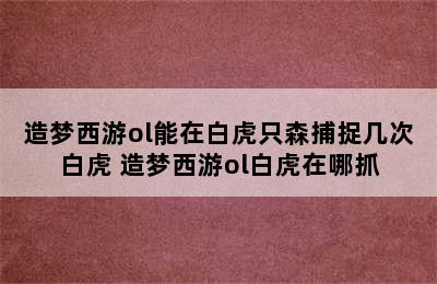 造梦西游ol能在白虎只森捕捉几次白虎 造梦西游ol白虎在哪抓